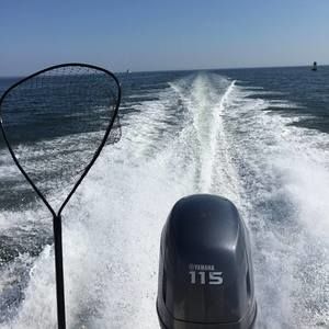 Meet your Posher, Chad